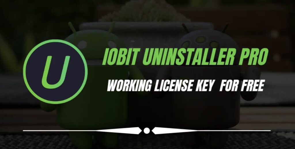 IObit 12 Pro Free License Key [2023 Edition]